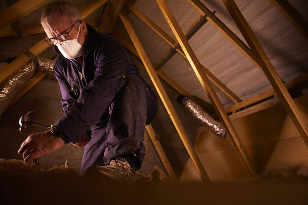 Best Insulation Maintenance and Repair in Grand Canyon Village, AZ